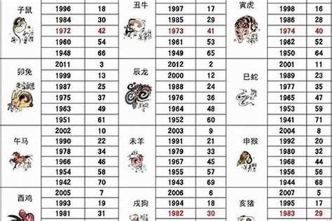 狗年出生的人|屬狗年份｜2024年幾歲？屬狗出生年份+歲數一